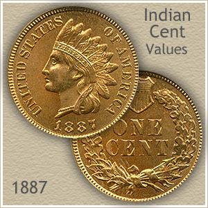 1887 Indian Head Penny grading strip showing four coins in Good, Fine, Extremely Fine, and Uncirculated condition side by side